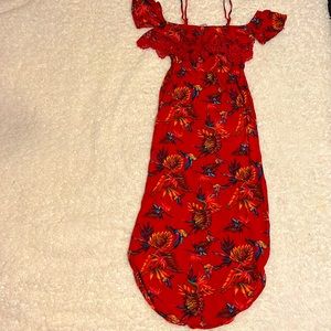 Cute humming birds dress